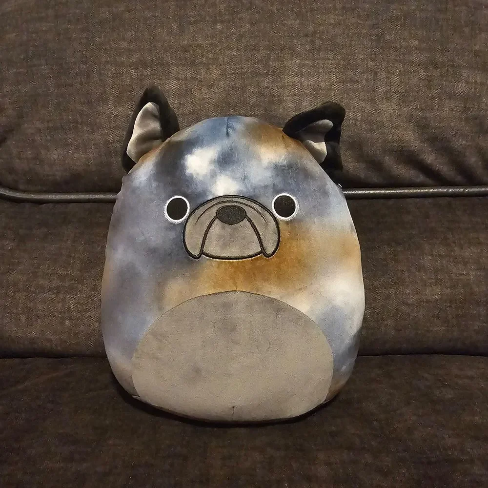 Squishmallow French Bulldog 12
